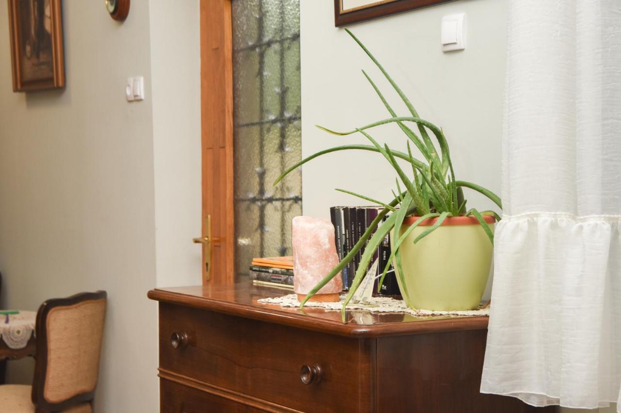 Apartman Woolf Senta Εξωτερικό φωτογραφία